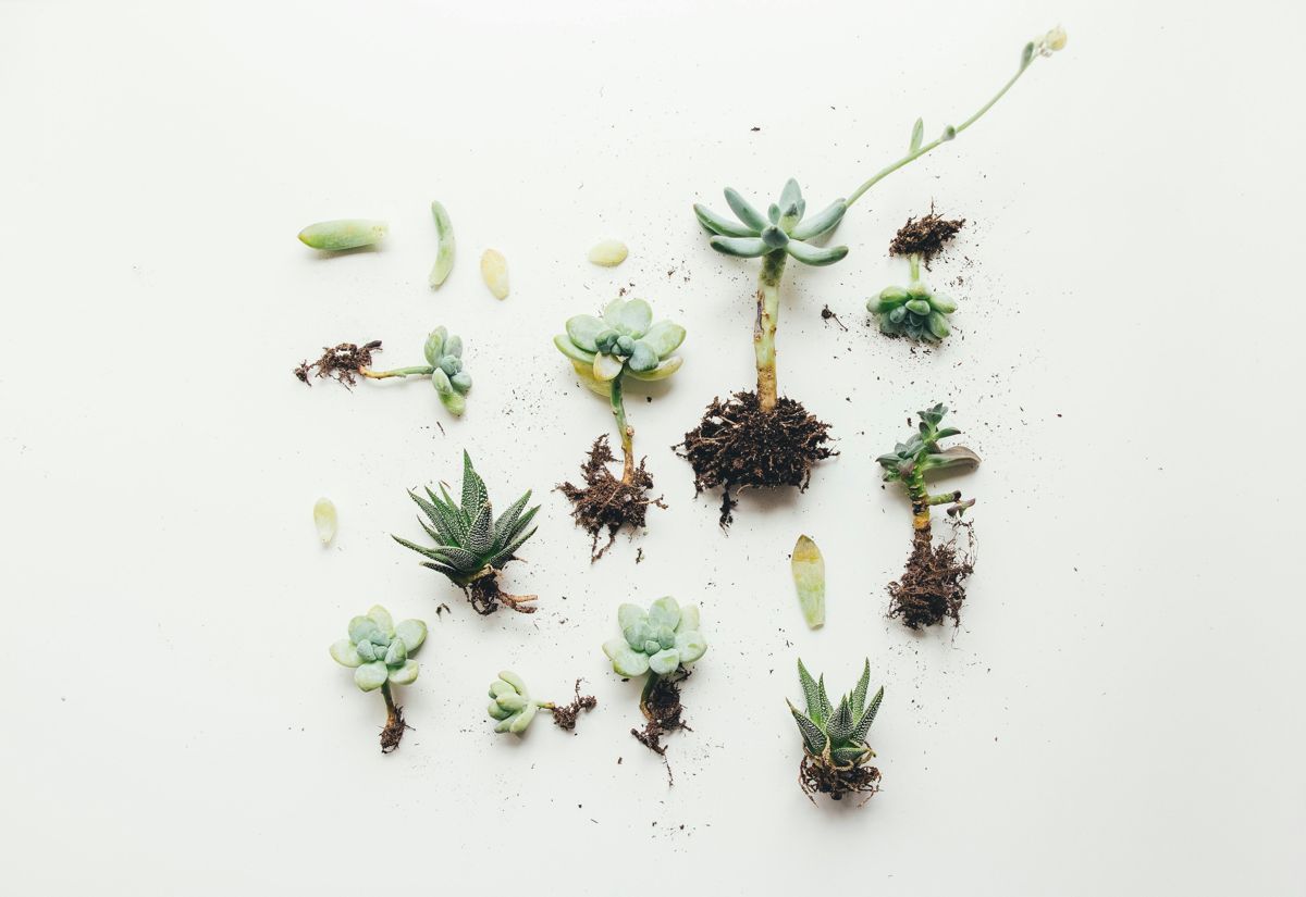Ultimate Guide: Measuring Onboarding Success